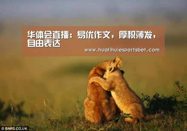 华体会直播:易优作文,厚积薄发,自由表达(图3) 华体会直播