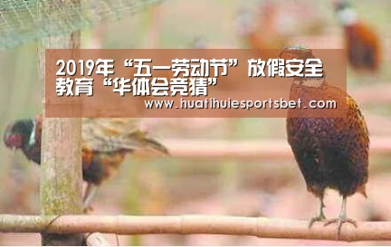 2019年“五一劳动节”放假安全教育“华体会竞猜”