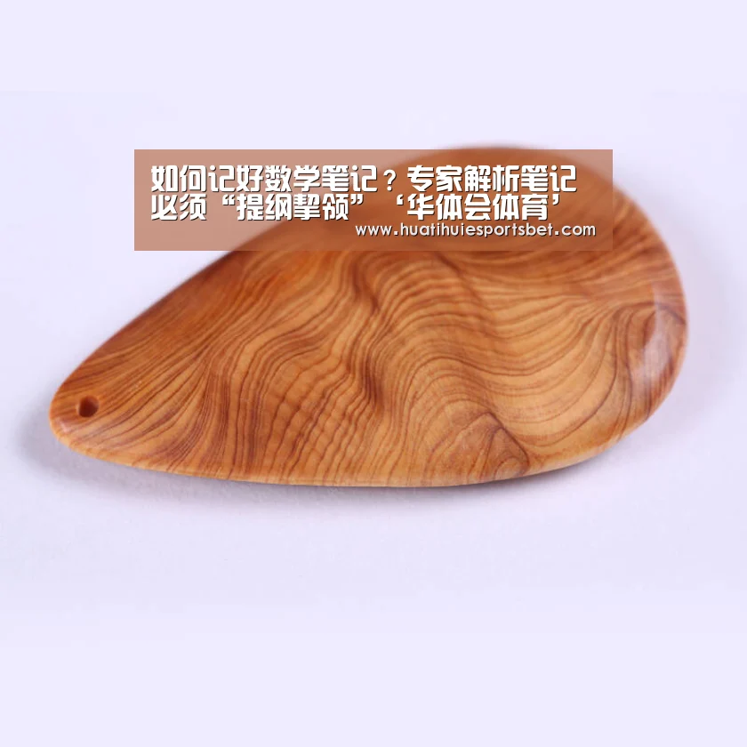 如何记好数学笔记？专家解析笔记必须“提纲挈领”‘华体会体育’
