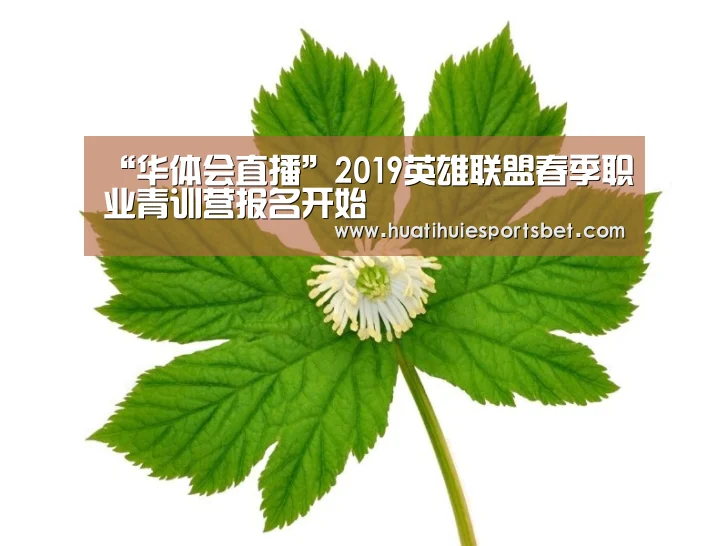 “华体会直播”2019英雄联盟春季职业青训营报名开始
