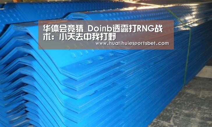 华体会竞猜_Doinb透露打RNG战术：小天去中我打野