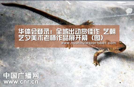 华体会登录：全城出动赏佳作 艺朝艺夕美术老师作品展开幕（图）