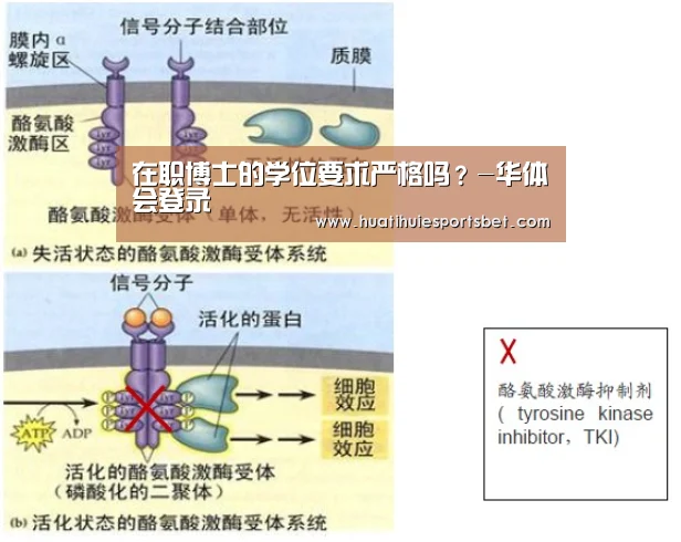 华体会竞猜